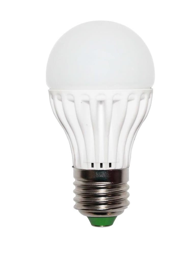 EuroLight LED žárovka 7W, E27, 6500K - koule