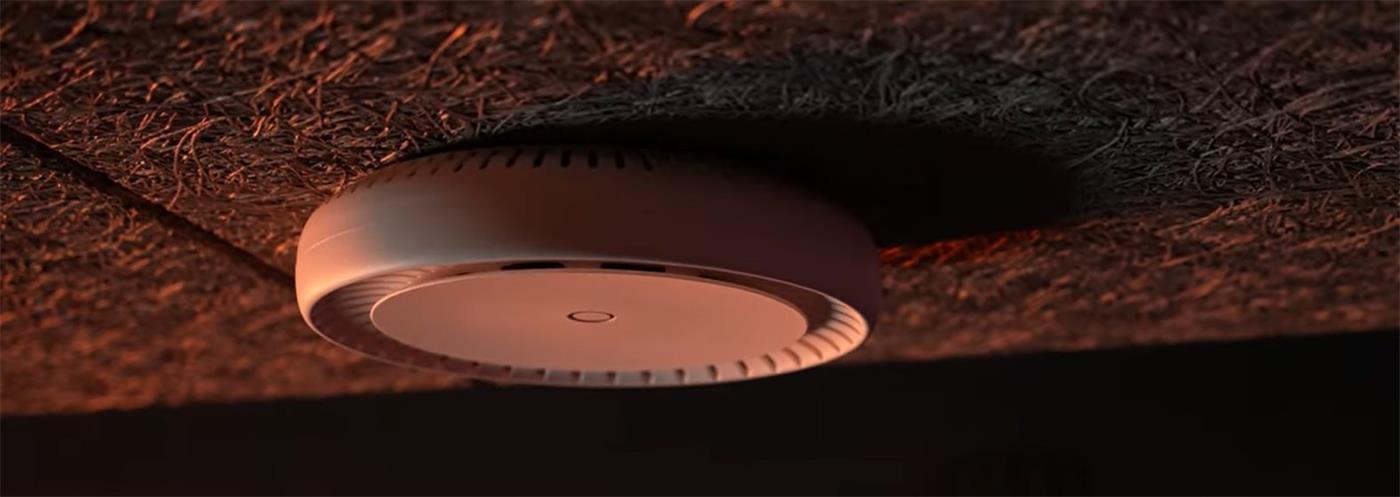 cAPGi-5HaxD2HaxD&EG12-EA